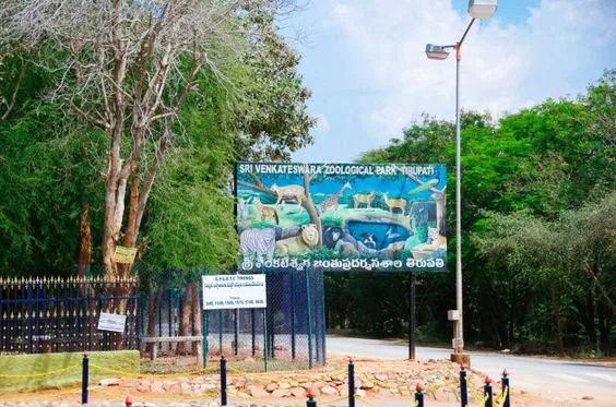 Tirupati Zoo Park